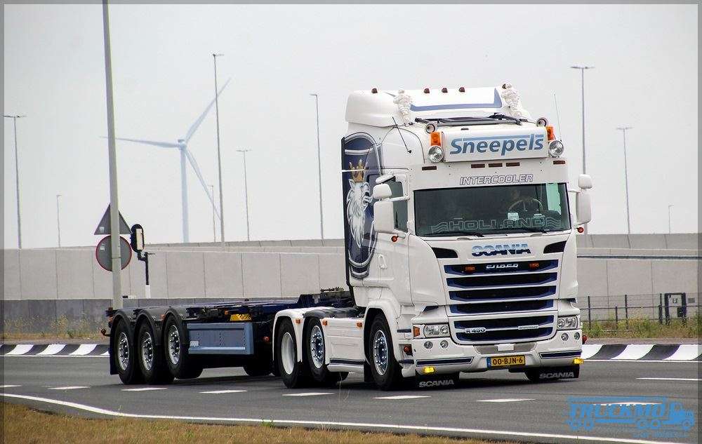 Tekno Sneepels Scania R-Serie Highline 6x2 Containerauflieger + 40ft Kühlcontainer 86345