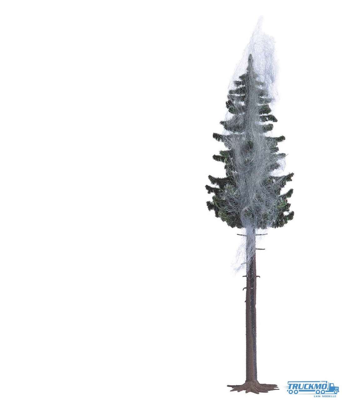 Bush lightning spruce 5431