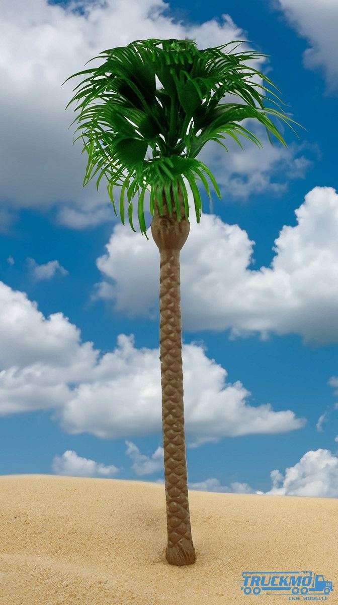 VK Modelle 1 Große Kanarische Palme 19cm 37009
