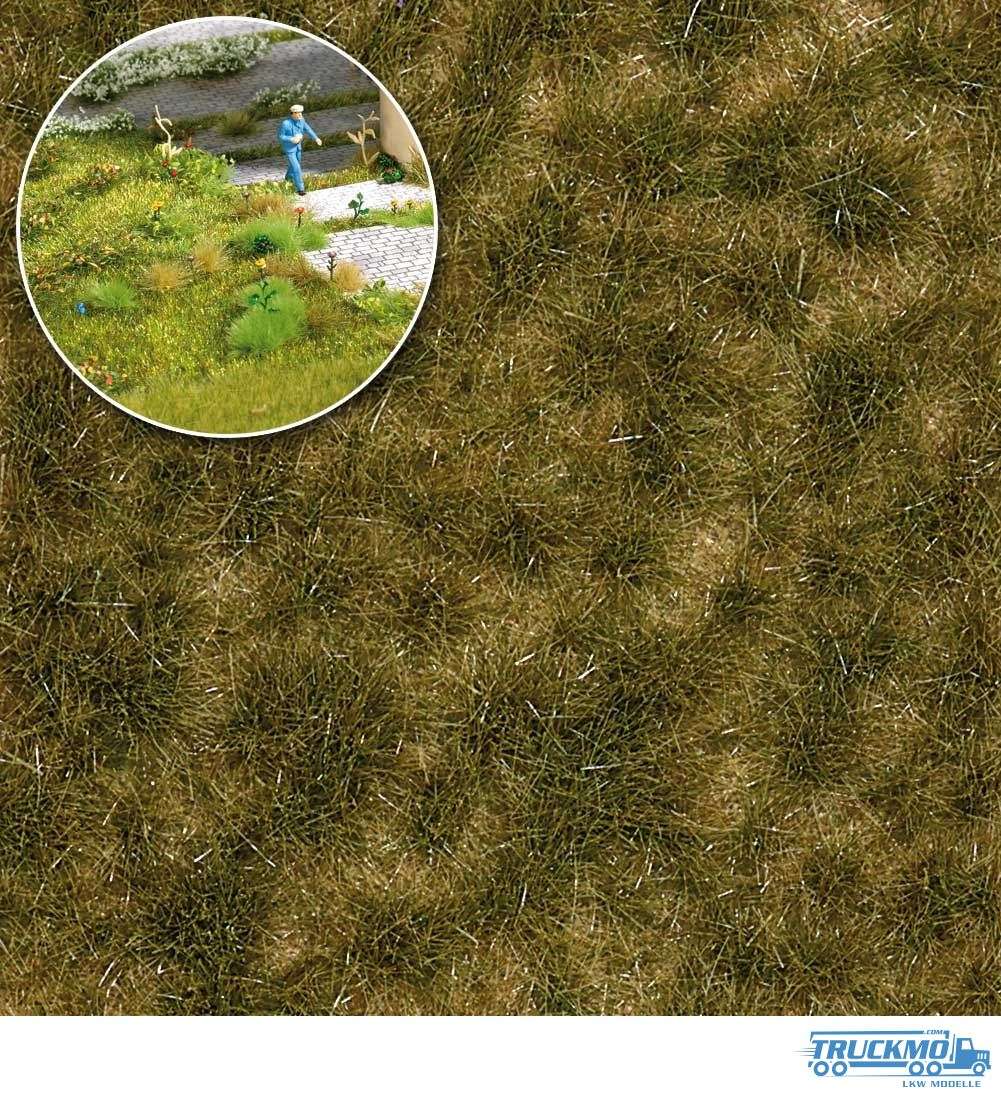 Bush tuft of grass late summer two-tone long 3538